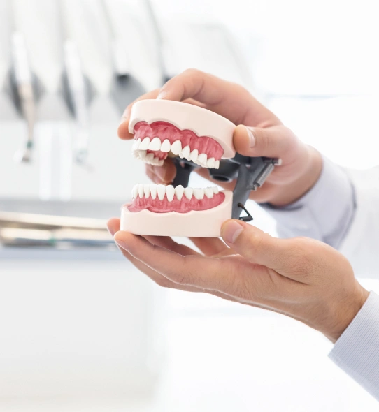 dental implant lp